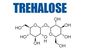 Het Dihydraat Cas No 6138-23-4 van Additief voor levensmiddelend Trehalose