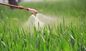 99.5% de zuiverheid Trehalose wordt wijd gebruikt in Pesticide en Biopesticide